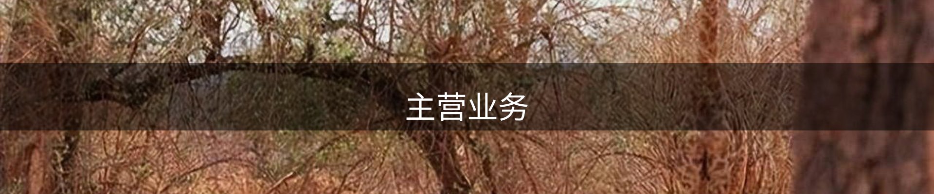 主营业务
