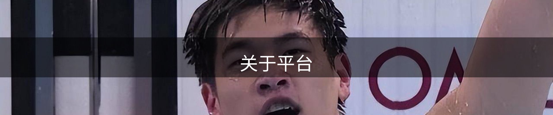关于平台